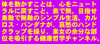 copy